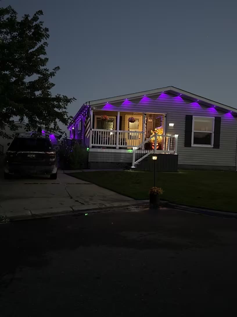 Purple for the evening